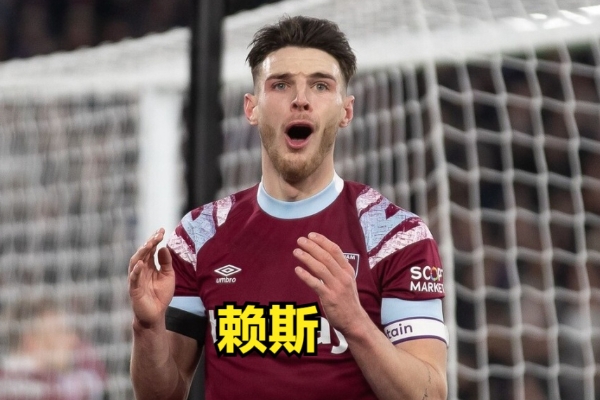 賴斯屬于什么是類型的后腰？